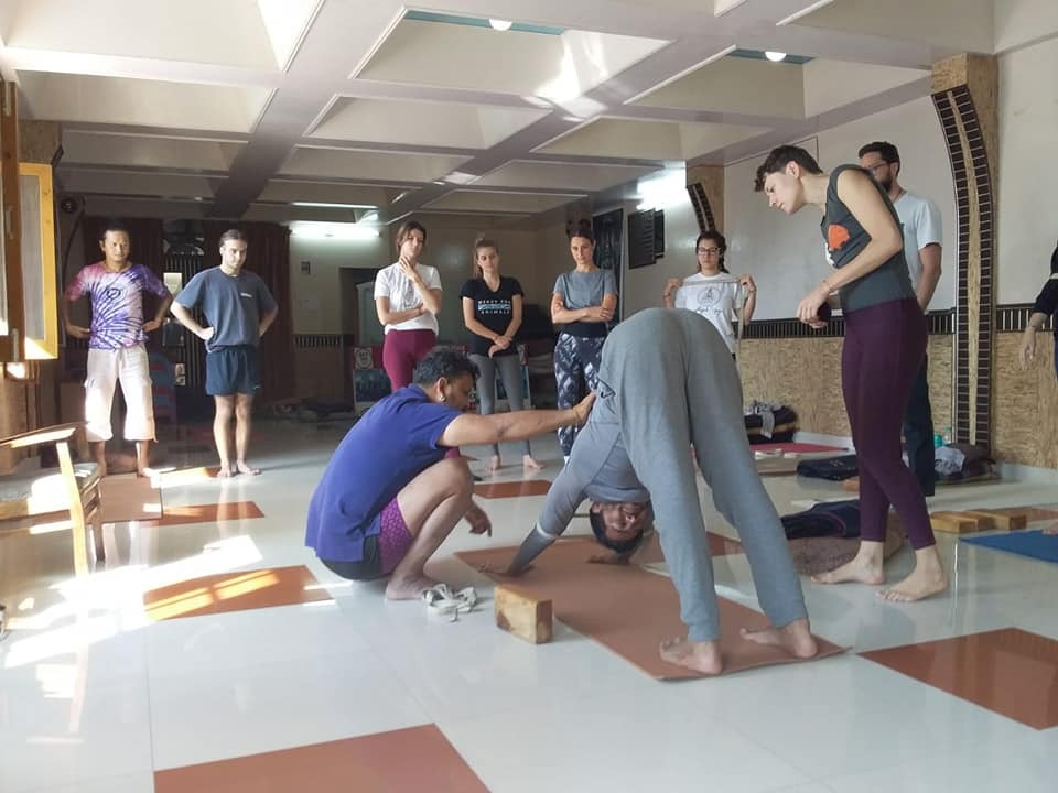 6 Days 5 night  Iyengar Yoga Course for Beginner in Rishikesh, India